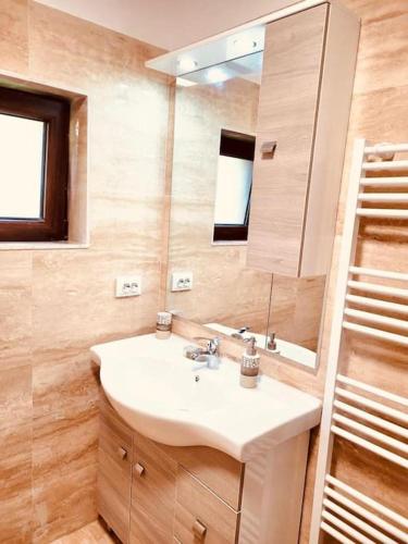 La salle de bains est pourvue d'un lavabo et d'un miroir. dans l'établissement River House Transylvania, à Frăsinet