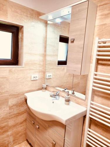 a bathroom with a sink and a mirror at River House Transylvania in Frăsinet