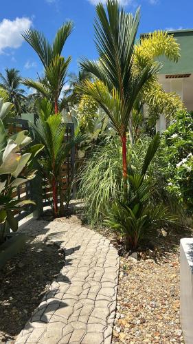a garden with palm trees and a stone walkway at ROYAL SUITES - PORT BARTON in San Vicente