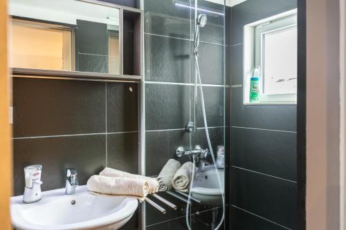 W łazience znajduje się umywalka i prysznic. w obiekcie Vogelvilla w mieście Stockach