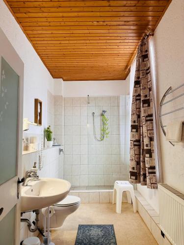 a bathroom with a sink and a toilet and a shower at Zum Alten Schulhaus in Burg