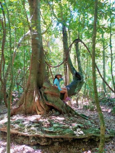 a woman sitting on a tree stump in the woods at Hostal Mulut Tulum in Tulum