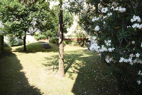 a tree in a yard with white flowers at Le Rondinelle in Como