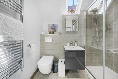 a bathroom with a toilet and a sink and a shower at The Central Winchester Gem - Sleeps 2 in Winchester