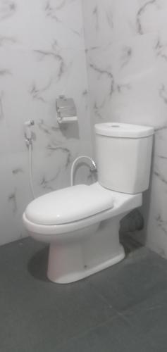 a white toilet in a bathroom with marble walls at Sudunelum Holiday Resort in Anuradhapura