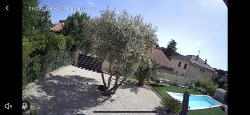 une cour avec un arbre et une piscine dans l'établissement Love room avec spa privatif, à Le Rove