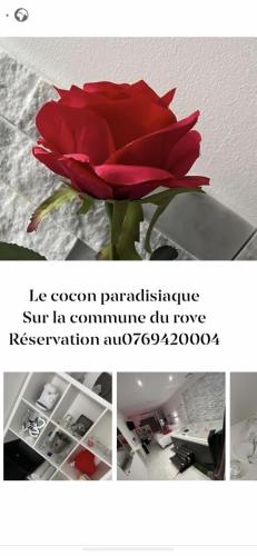 une rose rouge dans un vase sur une table dans l'établissement Love room avec spa privatif, à Le Rove