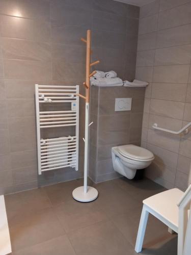 La salle de bains est pourvue de toilettes et d'un sèche-serviettes. dans l'établissement Gîte Emile de la Maison Saint-Josse, à Colmar