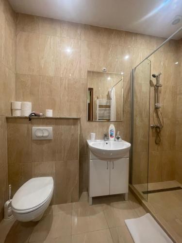 a bathroom with a toilet and a sink and a shower at Euro Panzio in Debrecen