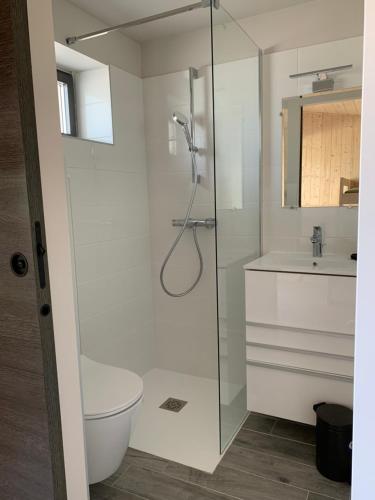 une salle de bain avec une douche, des toilettes et un lavabo dans l'établissement La Petite Auberge Insolite, à Saint-Affrique