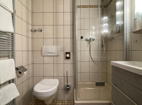 a bathroom with a shower and a toilet and a sink at Landhaus Oberaurach in Oberaurach