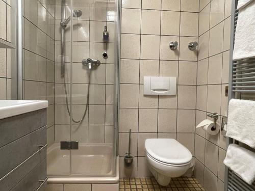 a bathroom with a shower and a toilet and a sink at Landhaus Oberaurach in Oberaurach