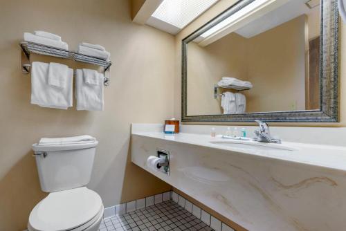 a bathroom with a sink and a toilet and a mirror at Quality Inn St Cloud West in Saint Cloud