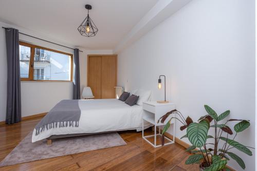 a bedroom with a white bed and a plant at Alta Guesthouse in Coimbra