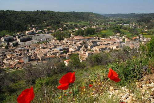 a view of a city from a hill with red flowers at Babiloc Moderne à Riez in Riez