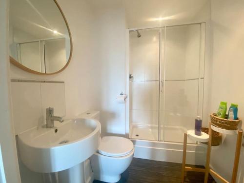 a bathroom with a sink and a toilet and a shower at Cosy Egyptian Inspired Apartment Northampton in Northampton