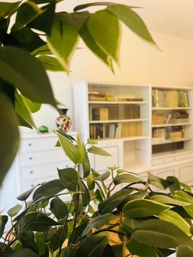 Al centro apartment - locazione turistica