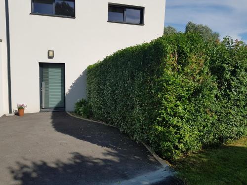 a large green bush next to a white building at maison moderne à la campagne in Bezinghem