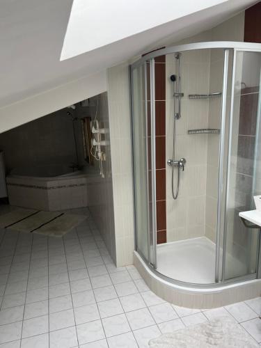 baño con ducha y puerta de cristal en Apartmán Lidická, en Karlovy Vary