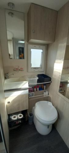 a small bathroom with a toilet and a sink at Nuit en Camping car : une experience immersive in Segonzac