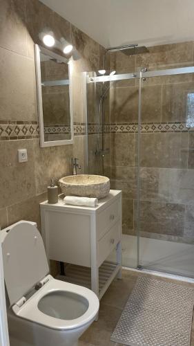 a bathroom with a toilet and a shower and a sink at Insolite : Gîte Namaste à 500m à pied du Zoo de Beauval in Seigy