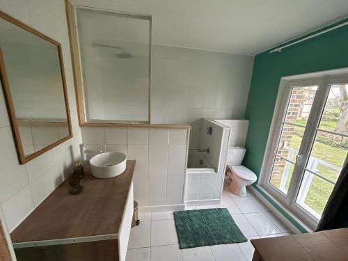 La salle de bains est pourvue d'un lavabo, de toilettes et d'un miroir. dans l'établissement Le Moulin des Lambotte, à Crulai
