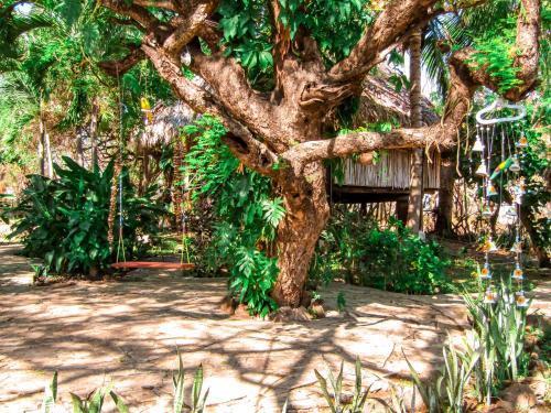 a tree with a bird house on it at Hotel Restaurante Spa La Barca de Oro in Las Peñitas