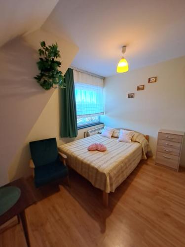 a bedroom with a bed and a chair and a window at Majkowiczówka in Czorsztyn