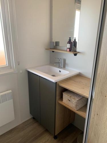 een badkamer met een wastafel en een spiegel bij Mobil home 6/8 personnes camping 4*Frejus in Fréjus