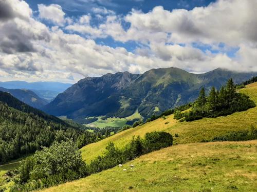 a green hillside with mountains in the distance at Romantiksuite bei Seitberger in Frauenberg