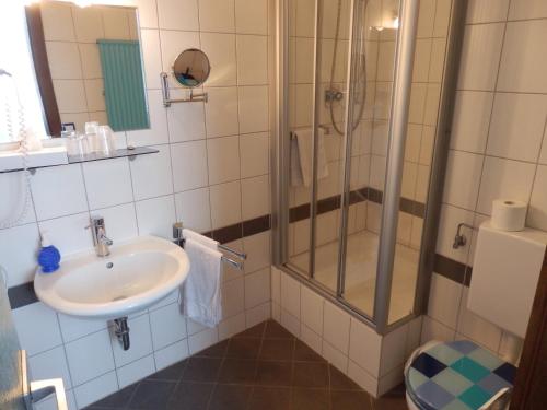 La salle de bains est pourvue d'une douche et d'un lavabo. dans l'établissement Hotel Rheinischer Hof, à Bad Breisig