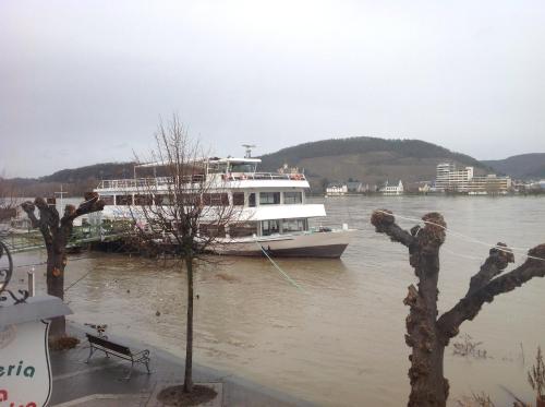 a large boat is docked in the water at Hotel Rheinischer Hof in Bad Breisig