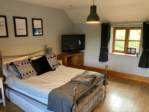a bedroom with a bed and a television in a room at The Annex, Coed Y Gaer in Llansilin