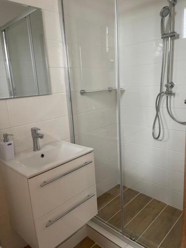 bagno bianco con doccia e lavandino di Ubytování U Dědy a Moravská Nová Ves