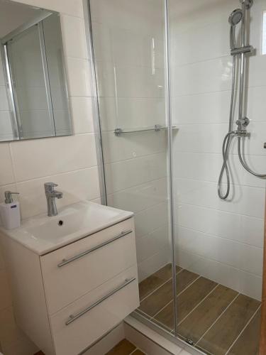 a white bathroom with a shower and a sink at Ubytování U Dědy in Moravská Nová Ves