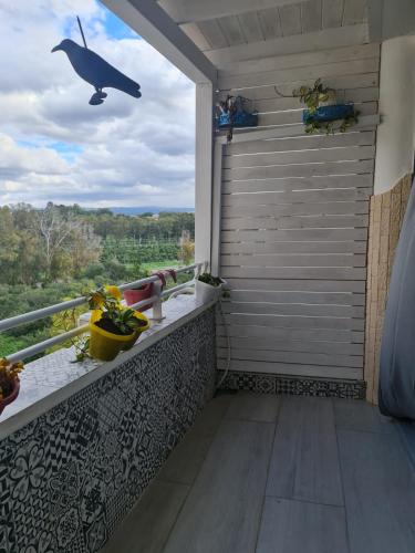 balkon z widokiem na rybę na oknie w obiekcie Reem Suite w mieście Naharijja