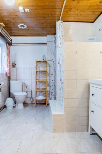 a bathroom with a toilet and a shower and a sink at Chalupa Na Paloučku in Orlické Záhoří 