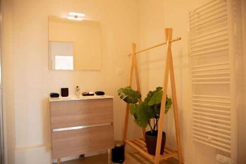 baño con tocador, espejo y planta en Domaine de Milhà, en Labenne