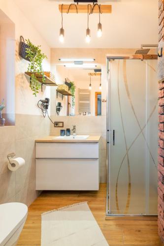 a bathroom with a sink and a shower at Domki Mazurska Dolina in Mikołajki