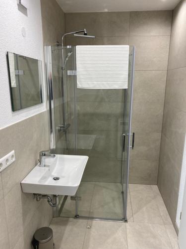 a bathroom with a glass shower and a sink at 1 Zimmer Wohnung mit Bad in Trossingen