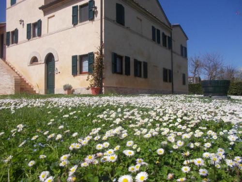 a field of flowers in front of a building at I Ciliegi in Osimo