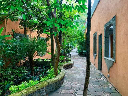a stone walkway next to a building with trees at Hotel La Casa de los Árboles Immersive Experience in Zacualpan de Amilpas