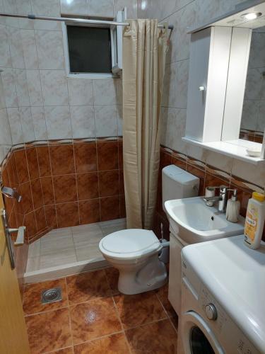 a bathroom with a toilet and a sink at Apartmani Irena in Tivat