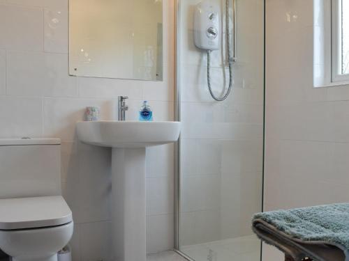 a bathroom with a toilet and a sink and a shower at Gean Cottage in Powmill