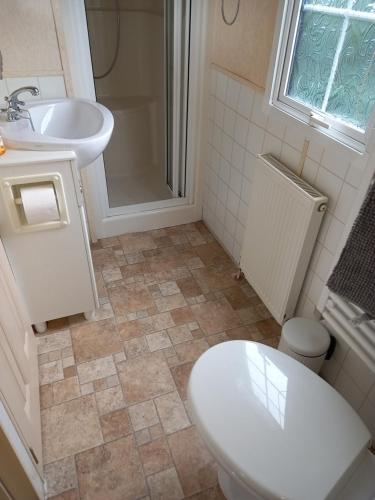a bathroom with a toilet and a sink at Adorable Caravan in Western Lakes in Workington