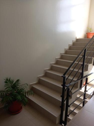 a staircase in a building with a potted plant at Nifa House in Espargos