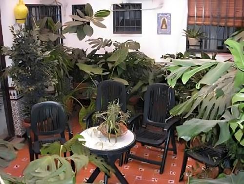 Taman di luar Hostal Colon Antequera