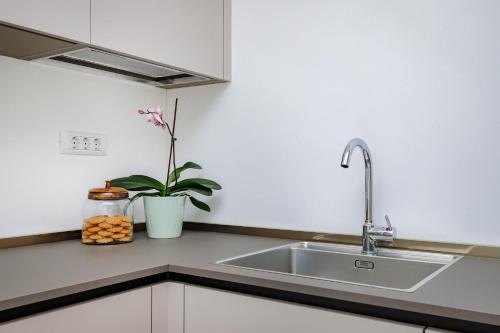 a kitchen counter with a sink and a plant at Apartment Klara in Krk