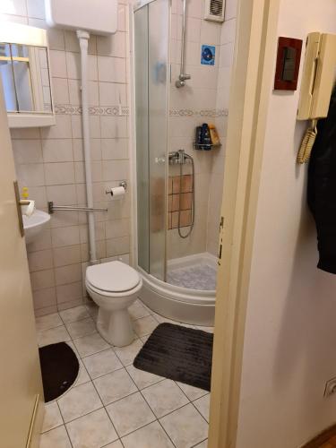 a bathroom with a toilet and a glass shower at Apartman u Velikoj Gorici Željko in Velika Gorica