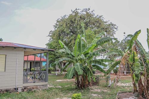 a house with two palm trees next to a building at Little Bay Hideaway in Little Bay